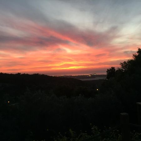 Above The Sea Villa Ein Hod Bagian luar foto