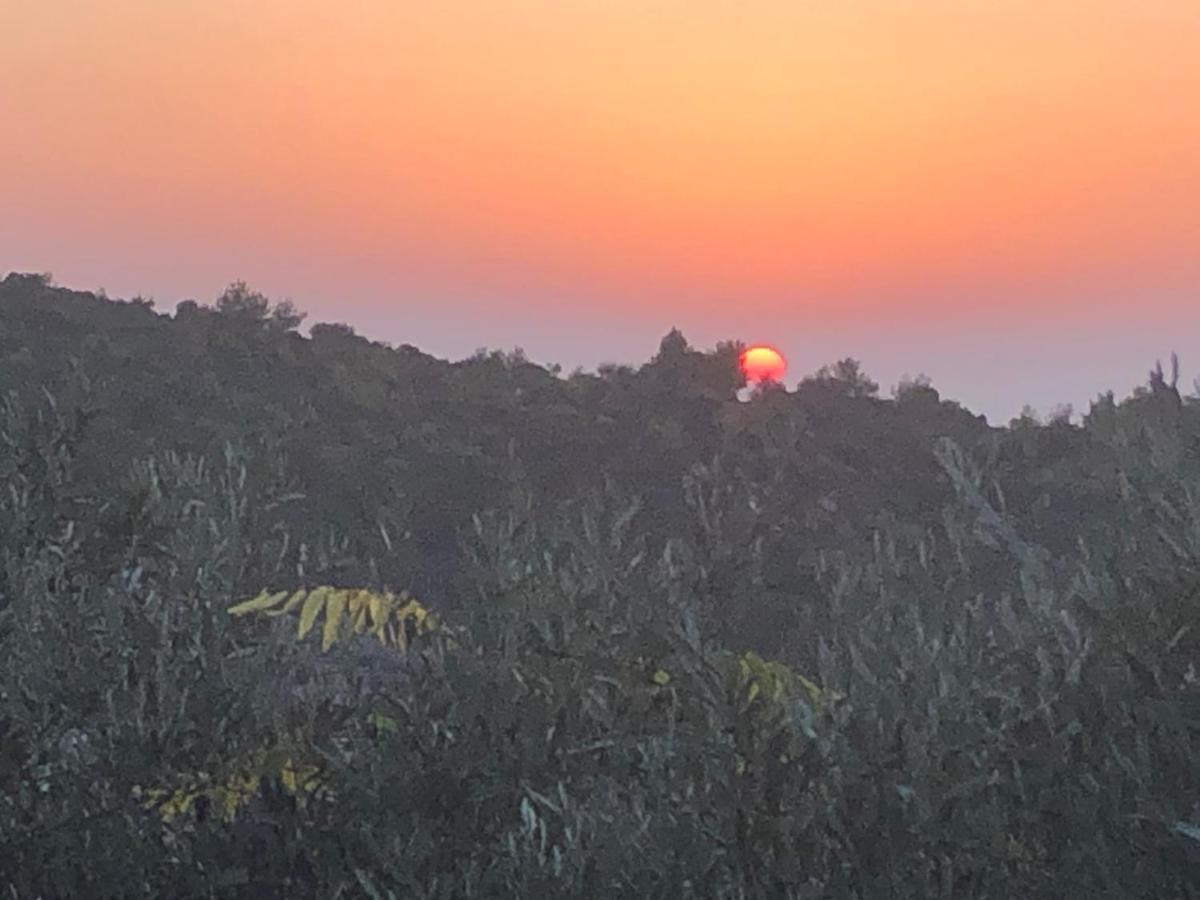 Above The Sea Villa Ein Hod Bagian luar foto