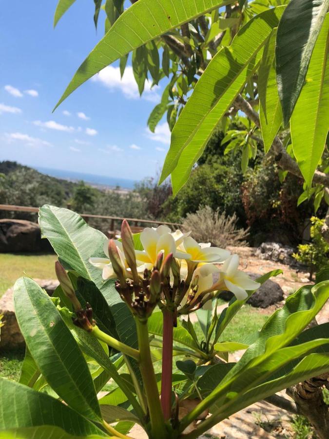 Above The Sea Villa Ein Hod Bagian luar foto