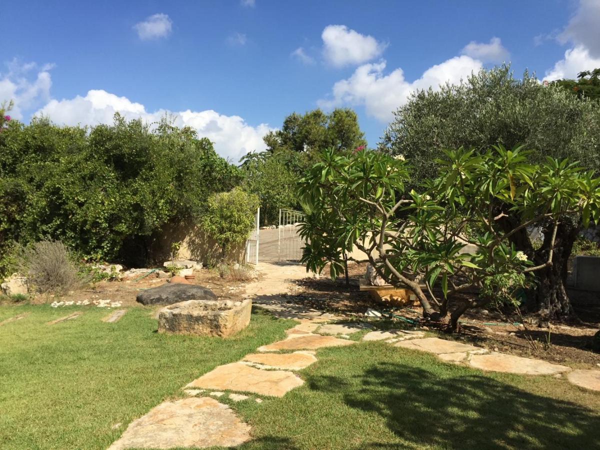 Above The Sea Villa Ein Hod Bagian luar foto