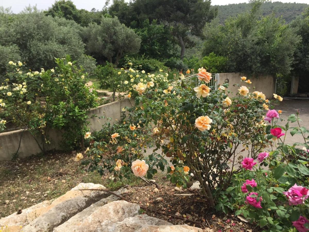 Above The Sea Villa Ein Hod Bagian luar foto