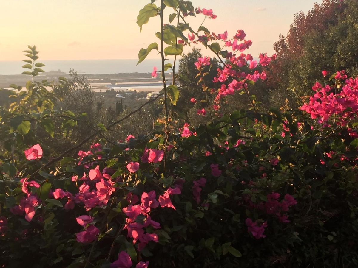 Above The Sea Villa Ein Hod Bagian luar foto