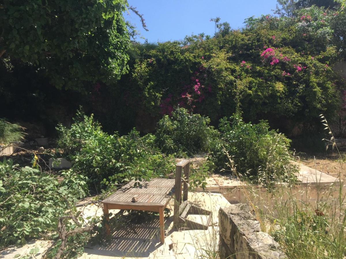 Above The Sea Villa Ein Hod Bagian luar foto