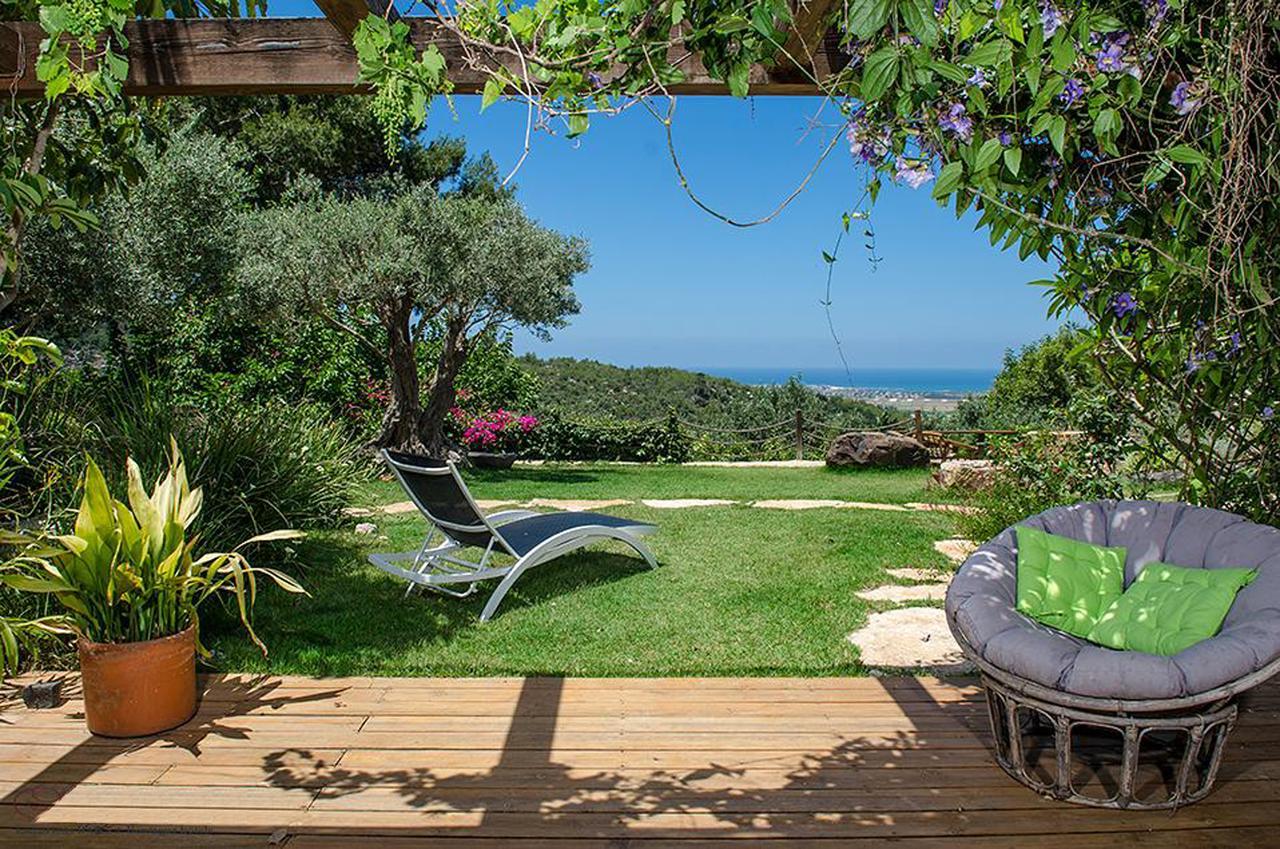 Above The Sea Villa Ein Hod Bagian luar foto