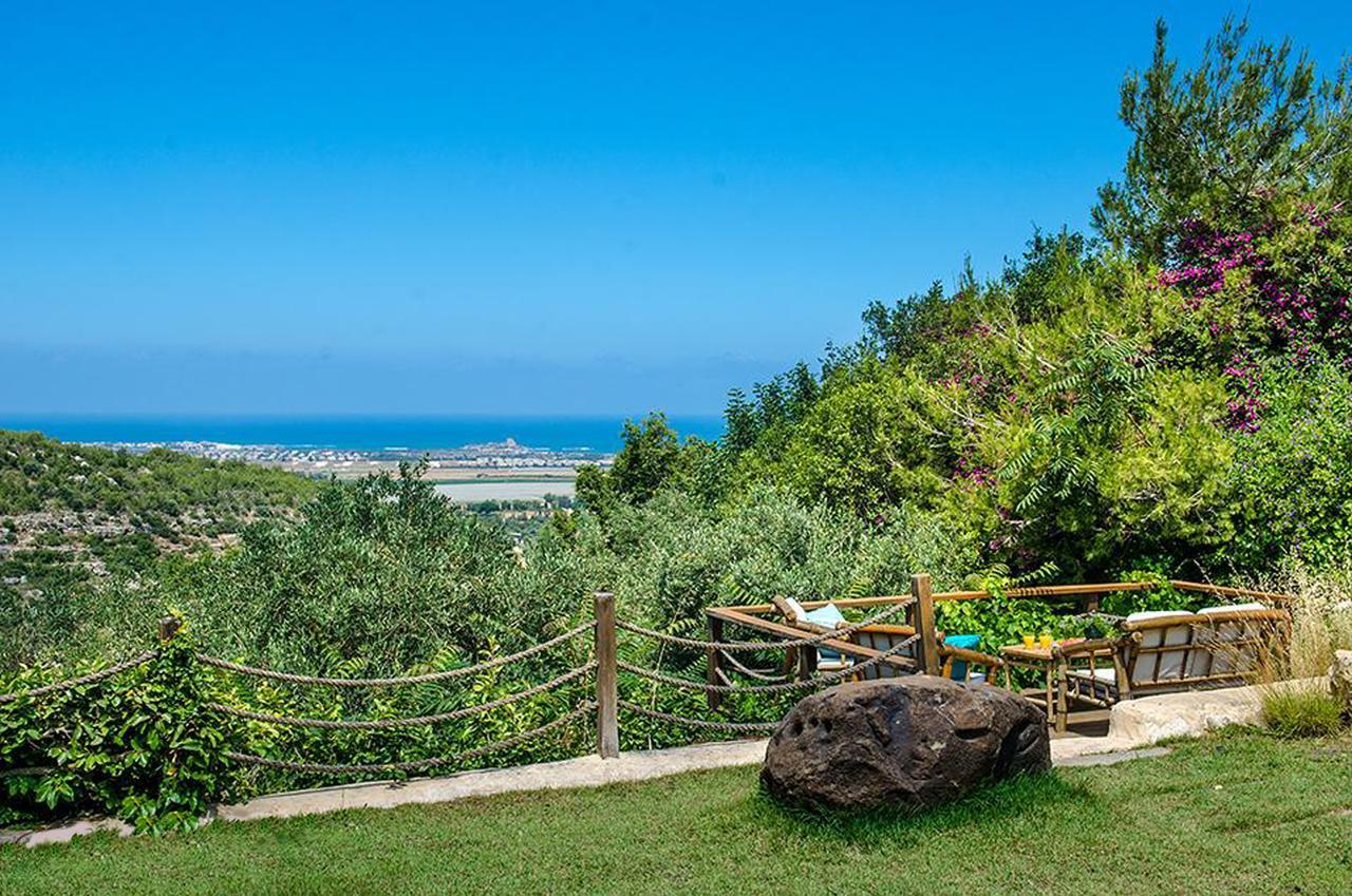 Above The Sea Villa Ein Hod Bagian luar foto