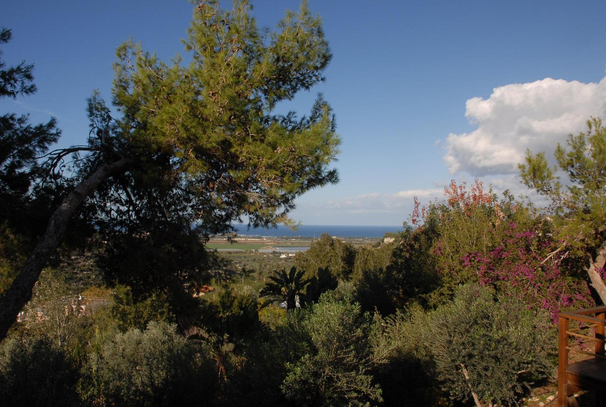 Above The Sea Villa Ein Hod Bagian luar foto