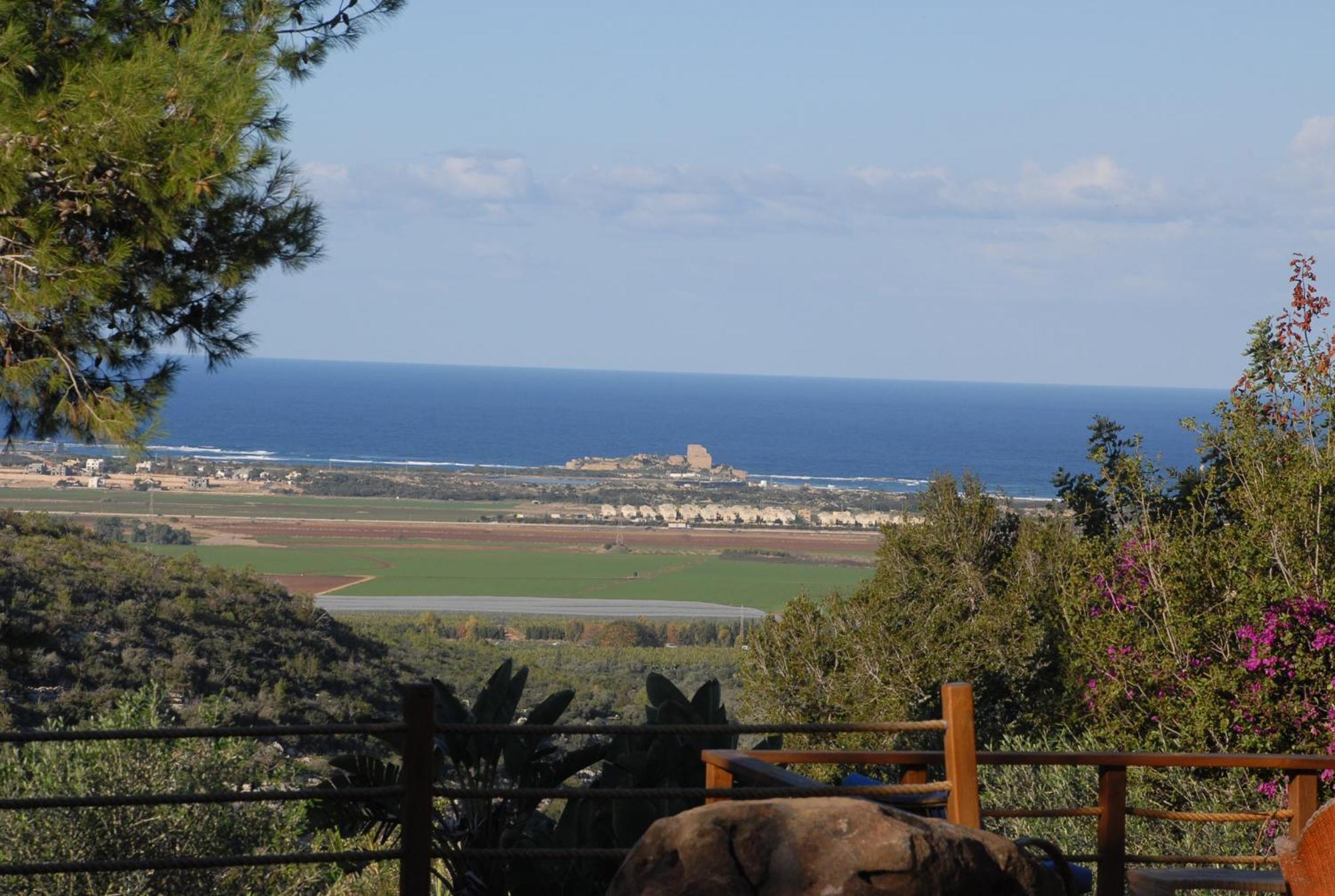 Above The Sea Villa Ein Hod Bagian luar foto
