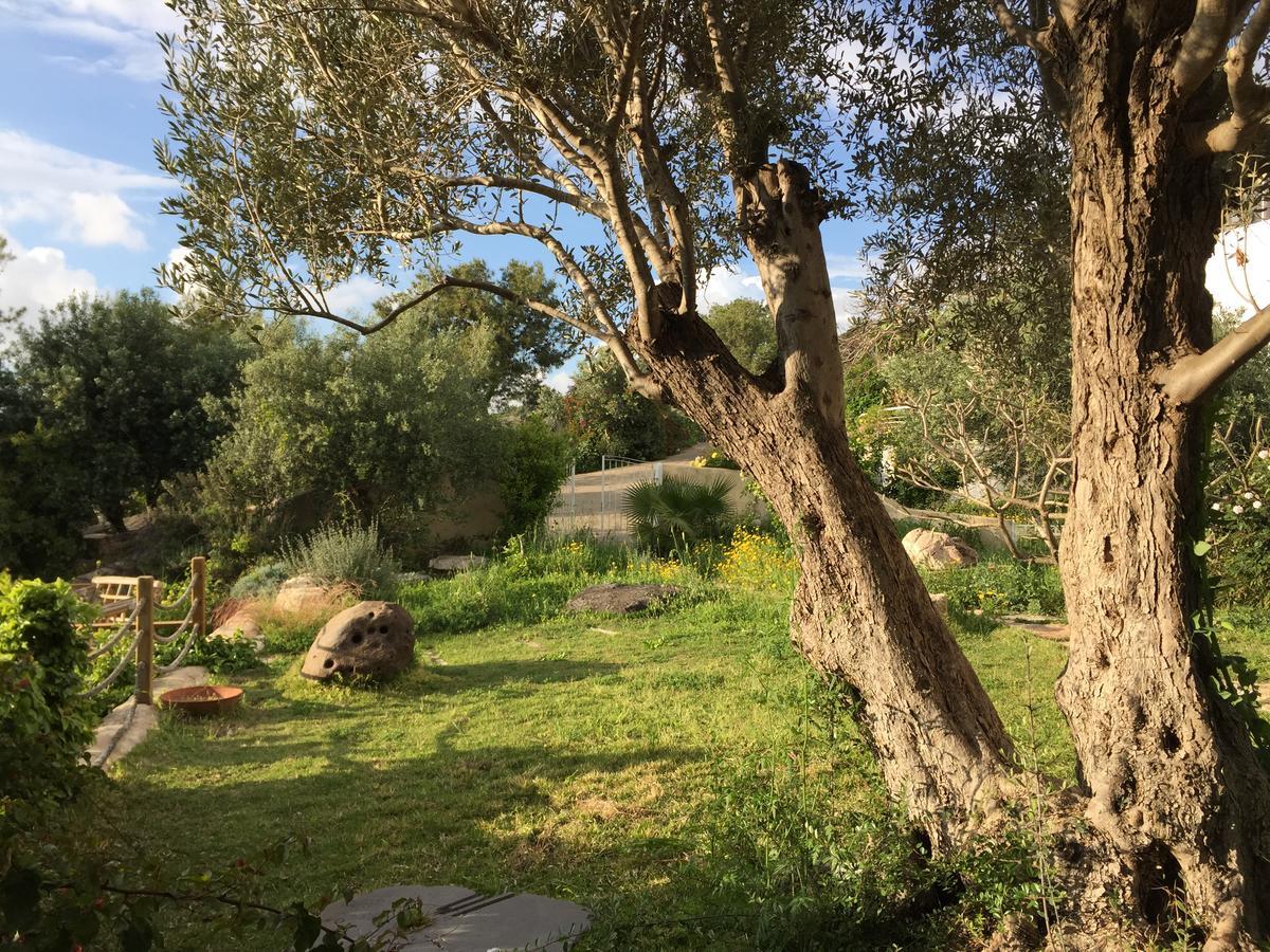 Above The Sea Villa Ein Hod Bagian luar foto