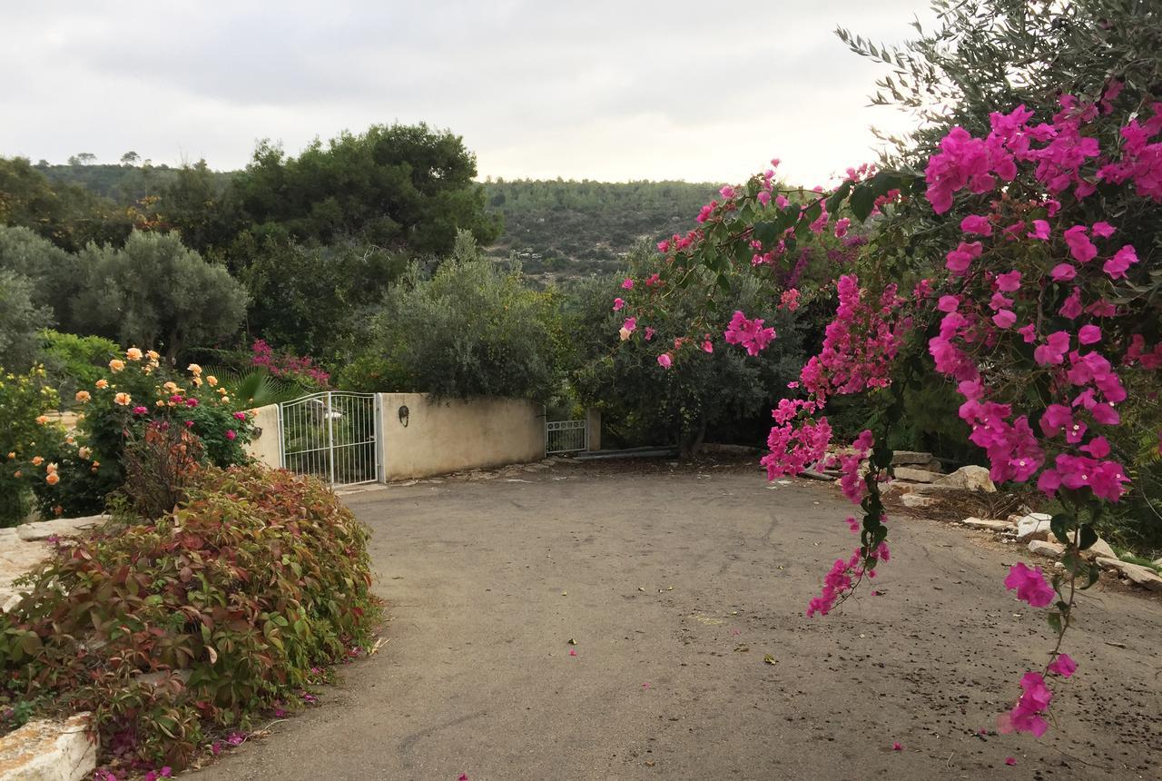 Above The Sea Villa Ein Hod Bagian luar foto